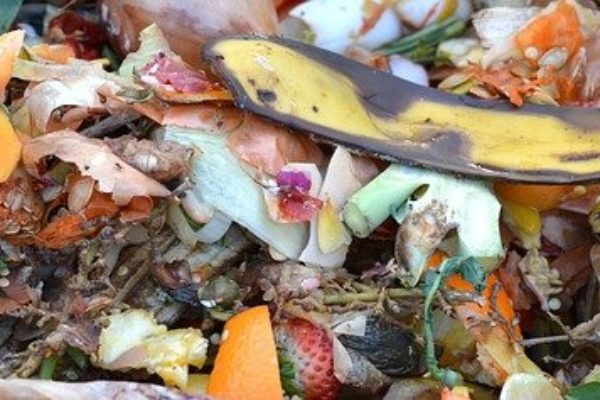 Compostaggio e risparmio sulla tassa sui rifiuti