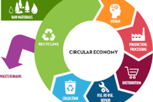 “Economia Circolare” ma cos’è di preciso?
