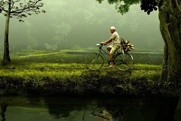Mobilità pedonale, mobilità ciclabile, bike sharing,  car pooling, car sharing, utilizzo del trasporto pubblico: le scelte per un futuro green