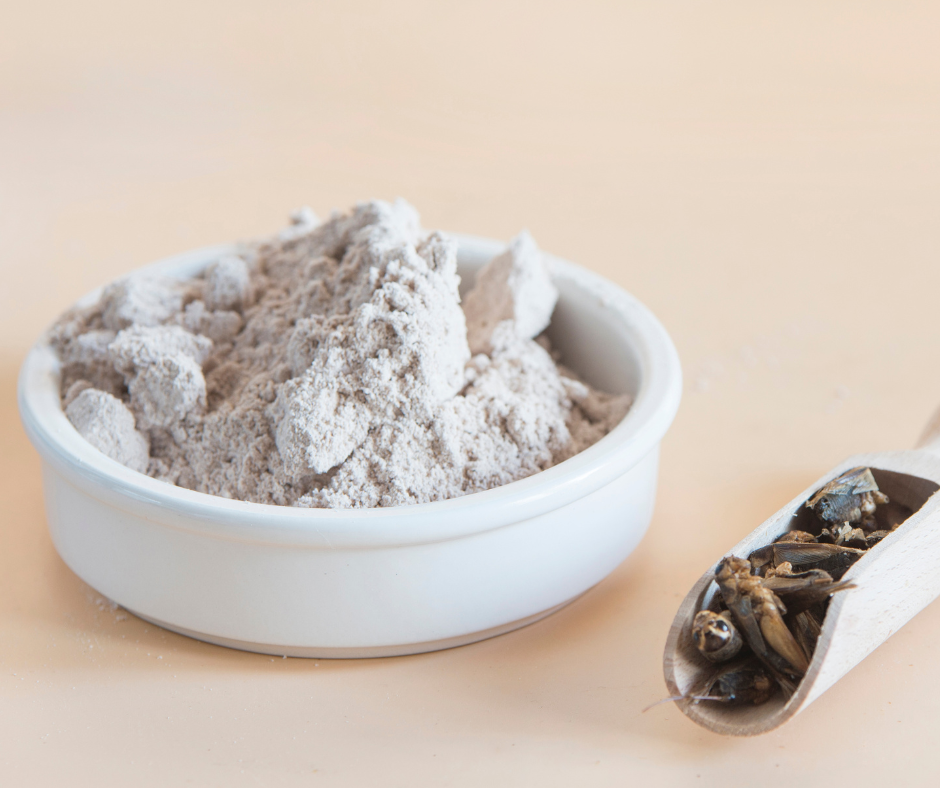 farina di insetti, nuova alimentazione, federconsumatori